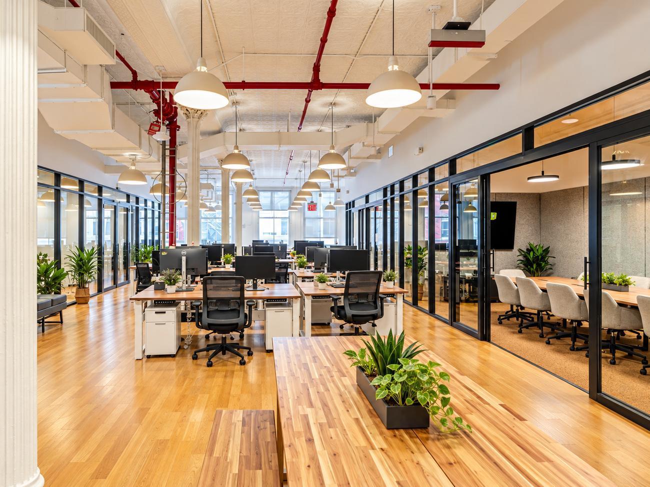 Fever office