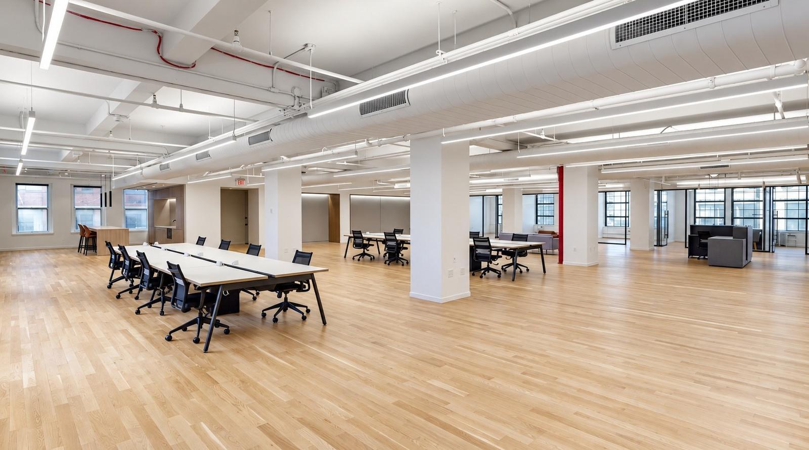 Sapien office