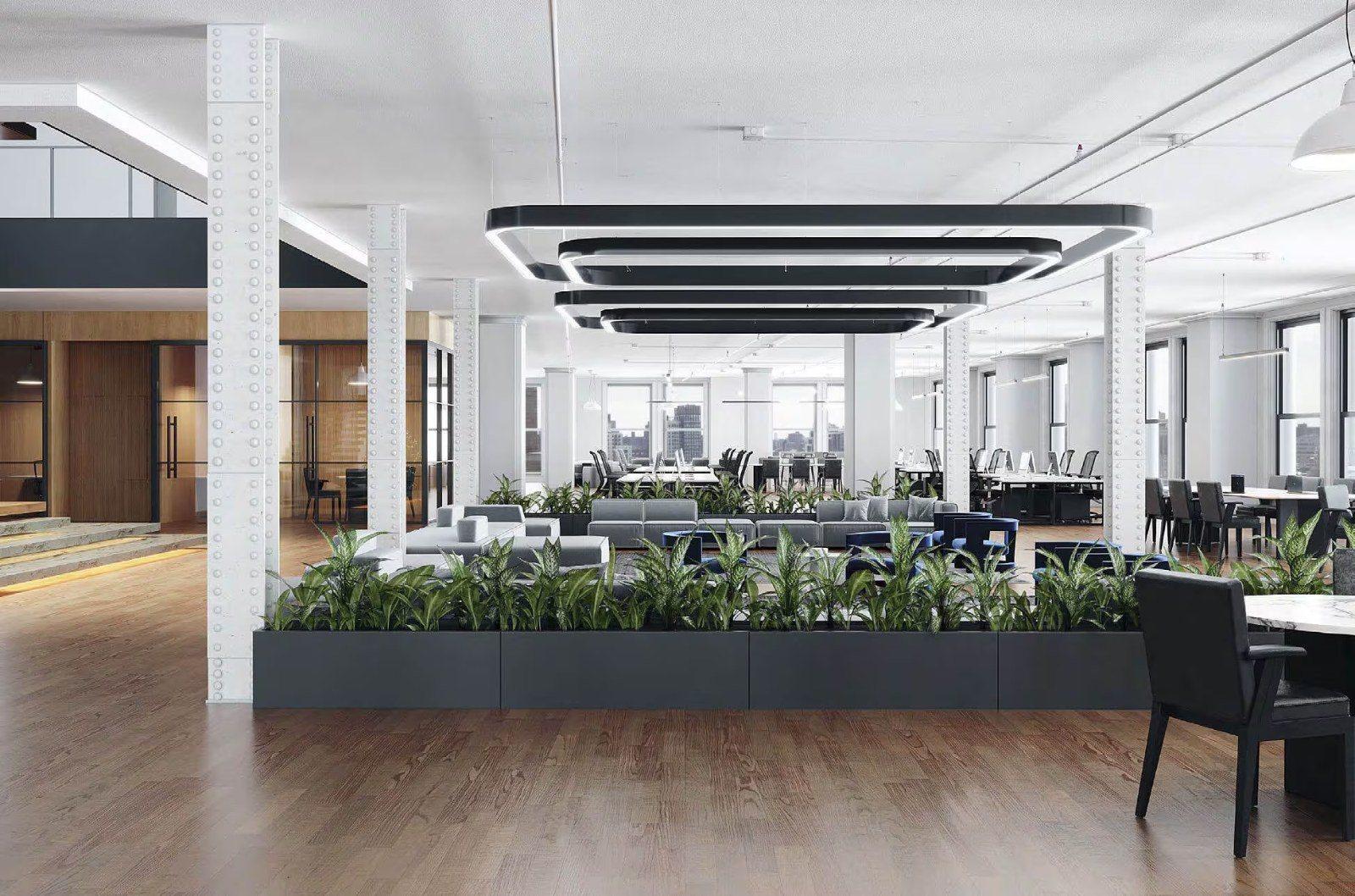 An open office floor with planters and glass-front offices